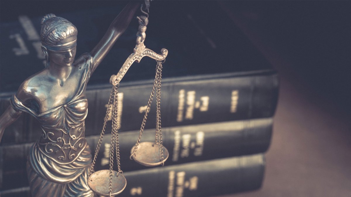 Юриспруденция Эстетика