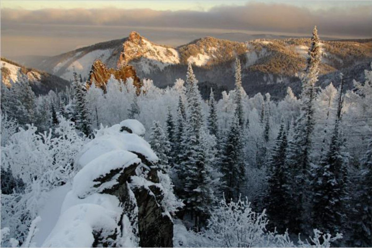 Фьорд Арктика