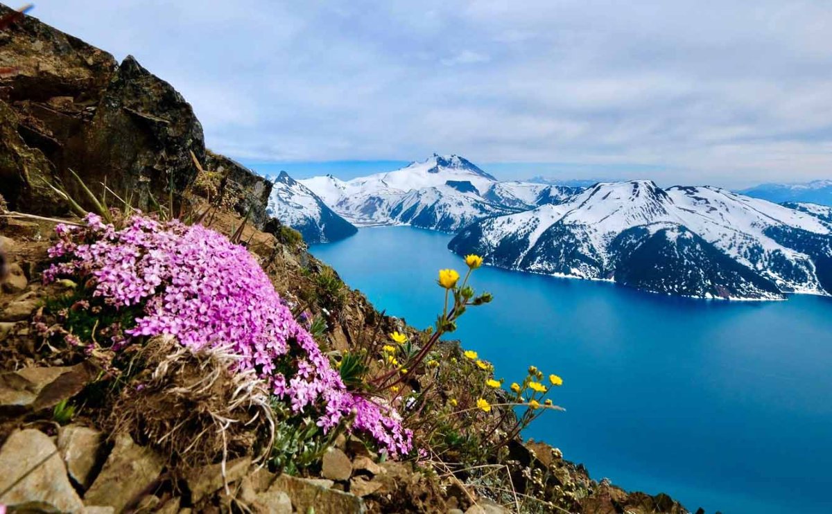 Арктический заповедник Красноярский край