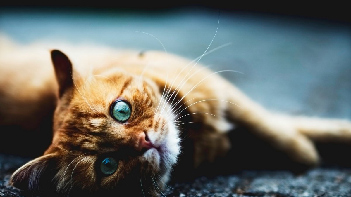 Открытка скоро выходные