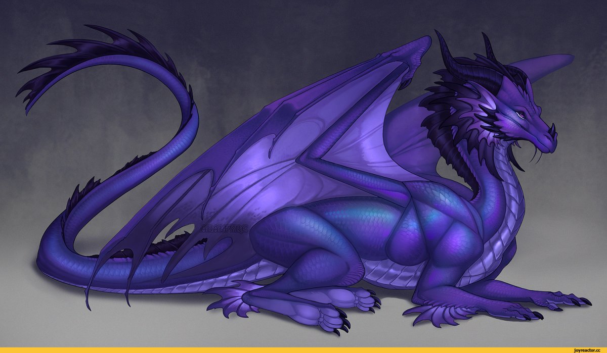 Драконихи Adalfyre