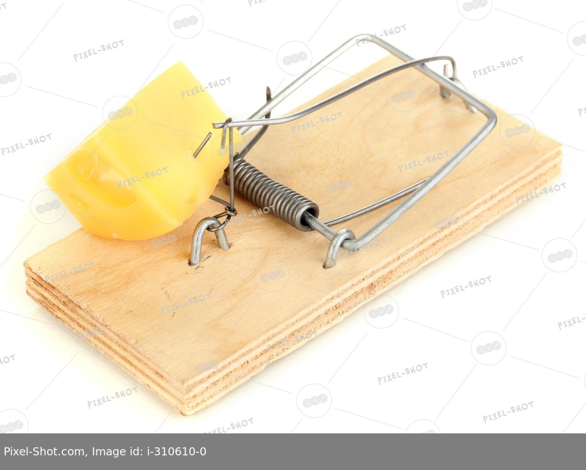 Мышеловка вид сверху