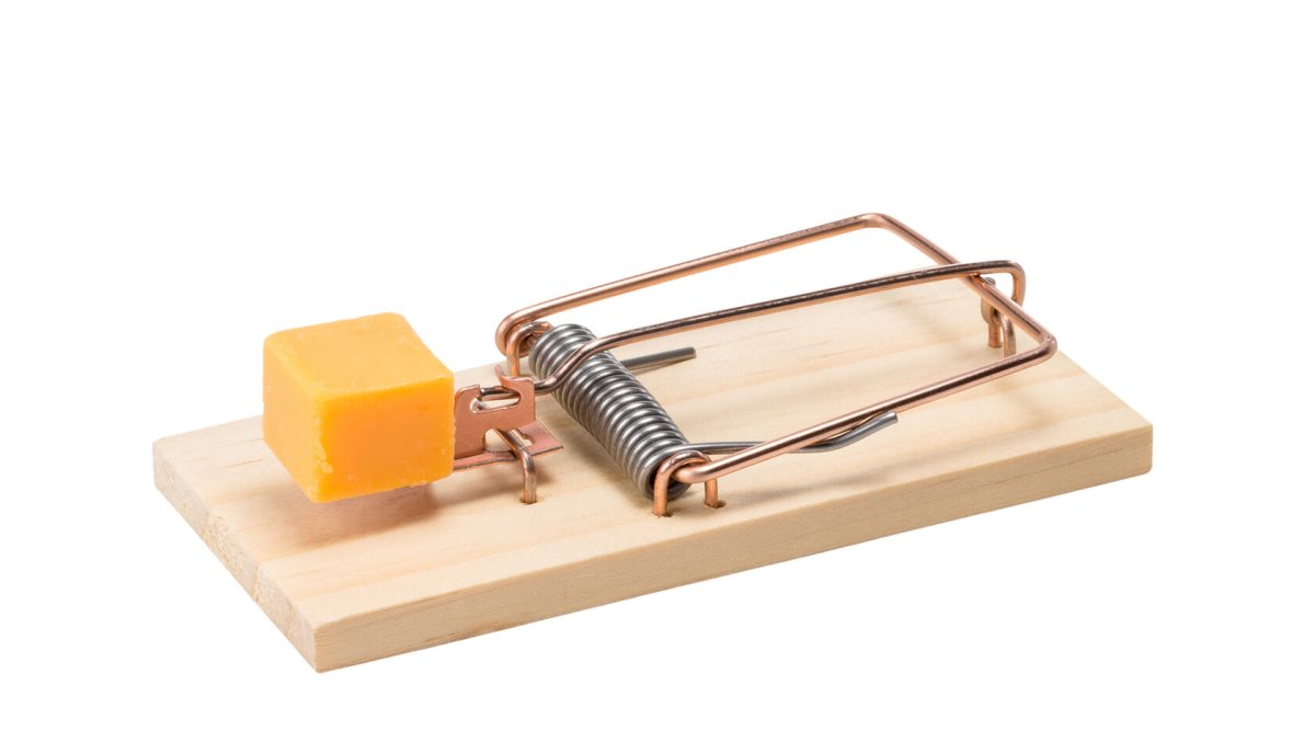 Мышеловка с сыром