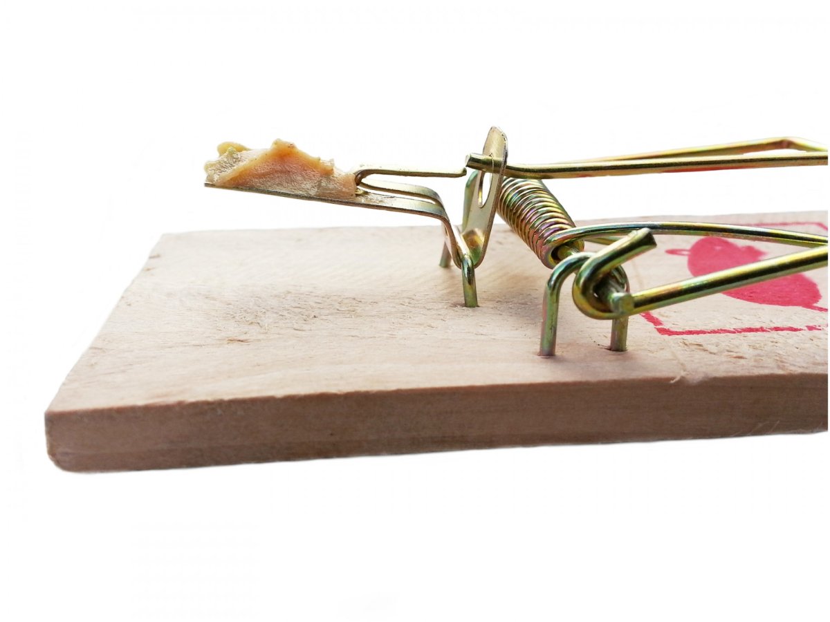 Мышеловка для человечества