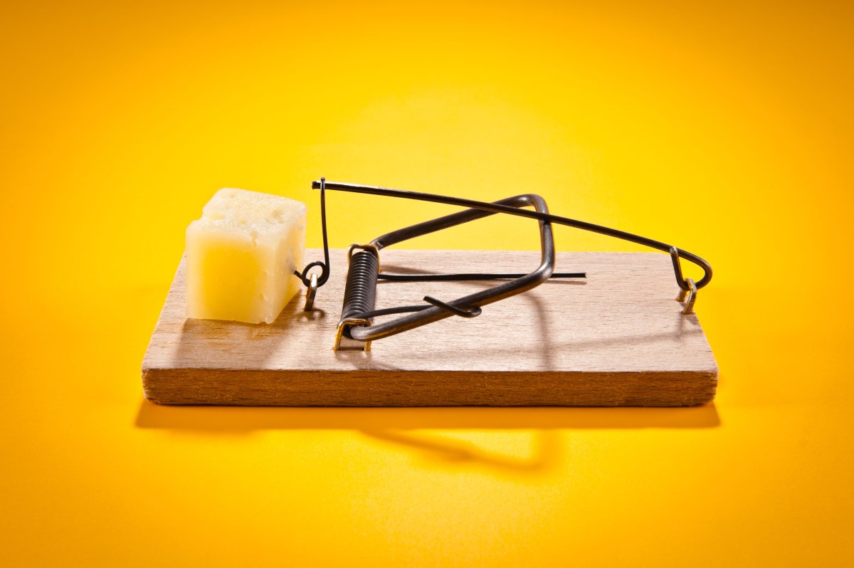 Мышеловка с сыром