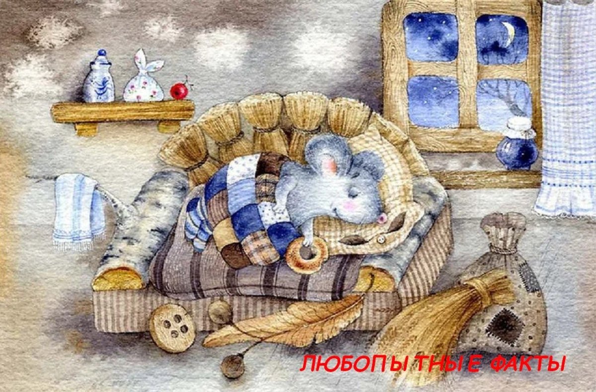 Иллюстратор Диана Лапшина