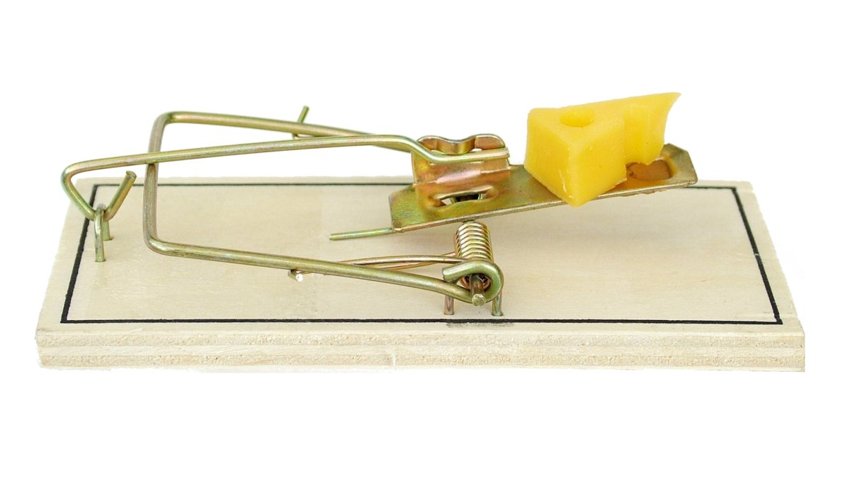 Мышеловка взведенная