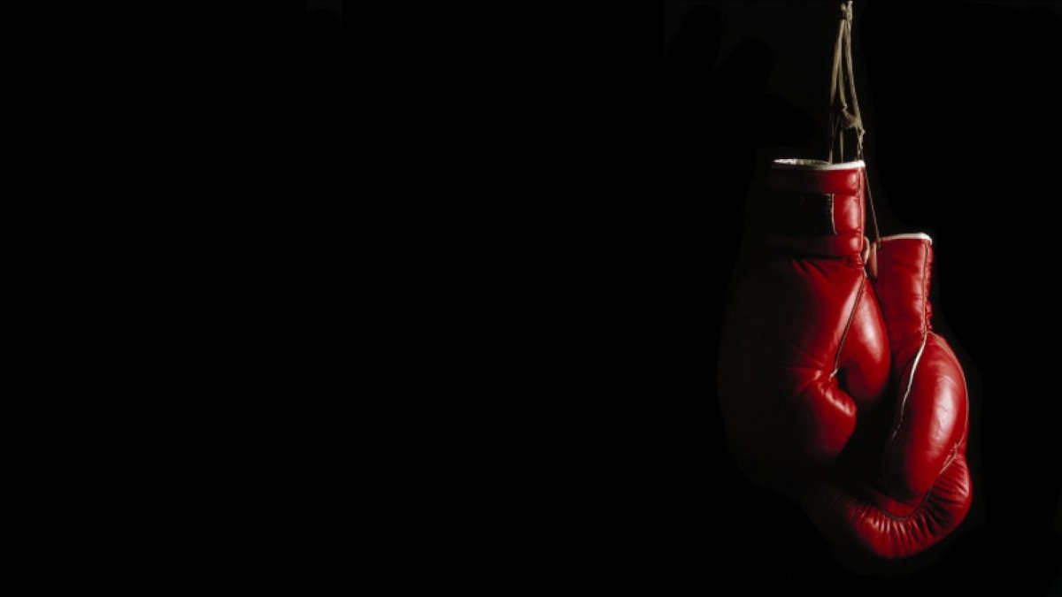 Оксерские Перчаткина ринге