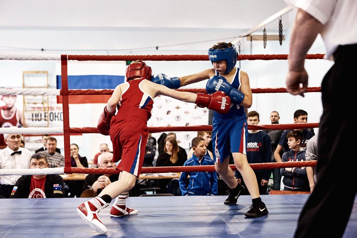 Плакат единоборства