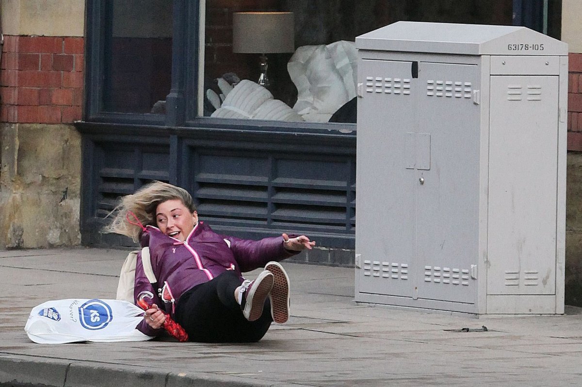 Сильный ветер смешное