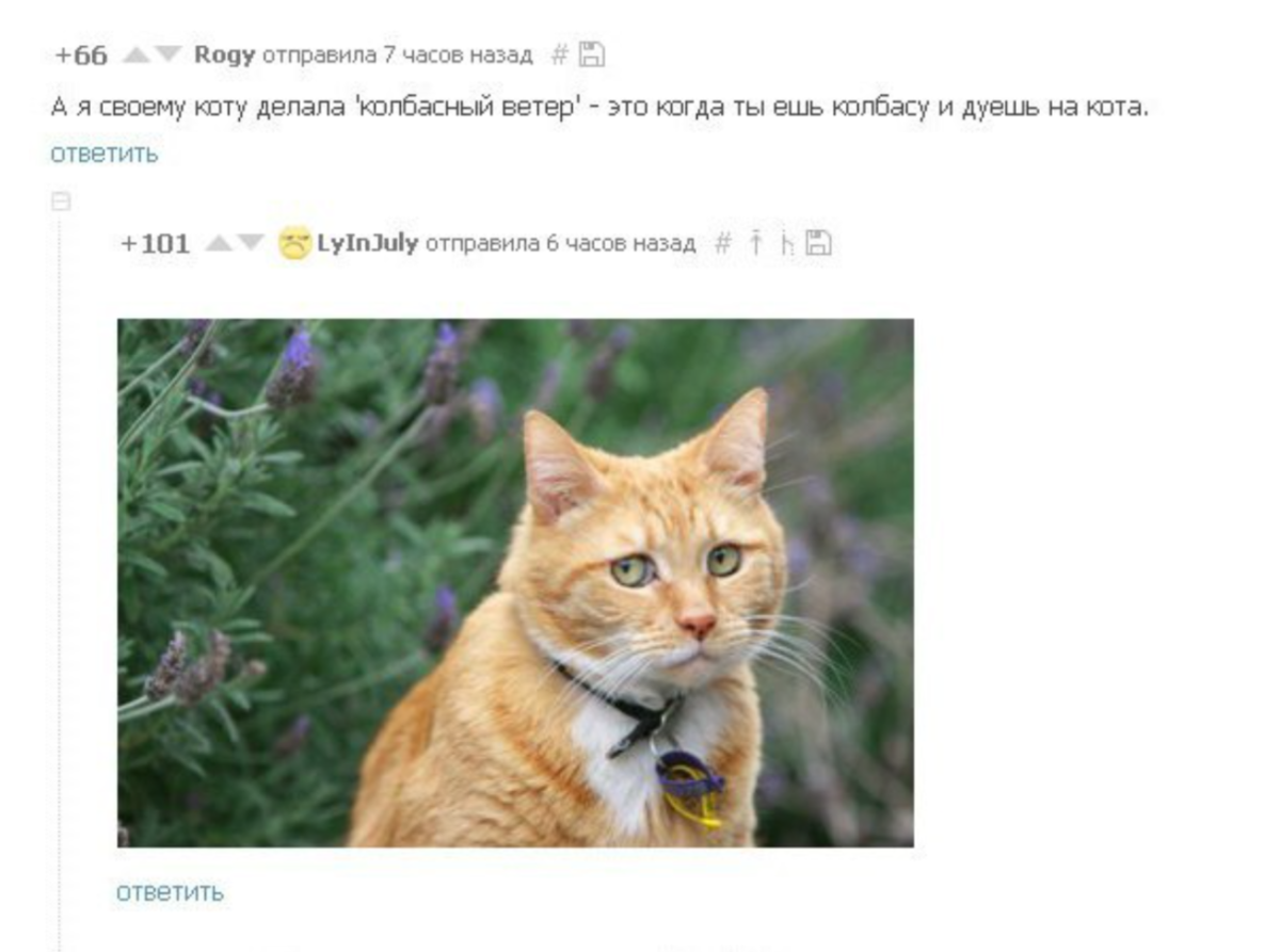 Летать в облаках