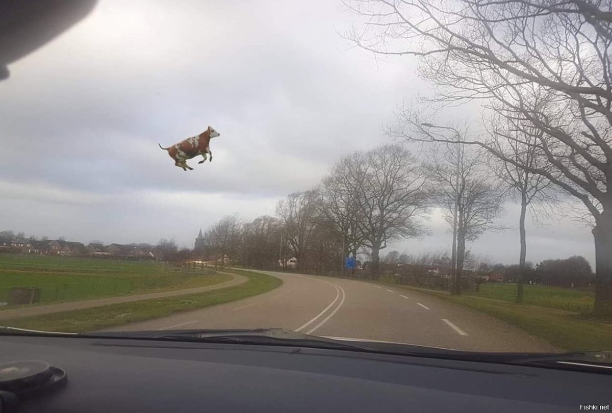 Ведьма на метле юмор