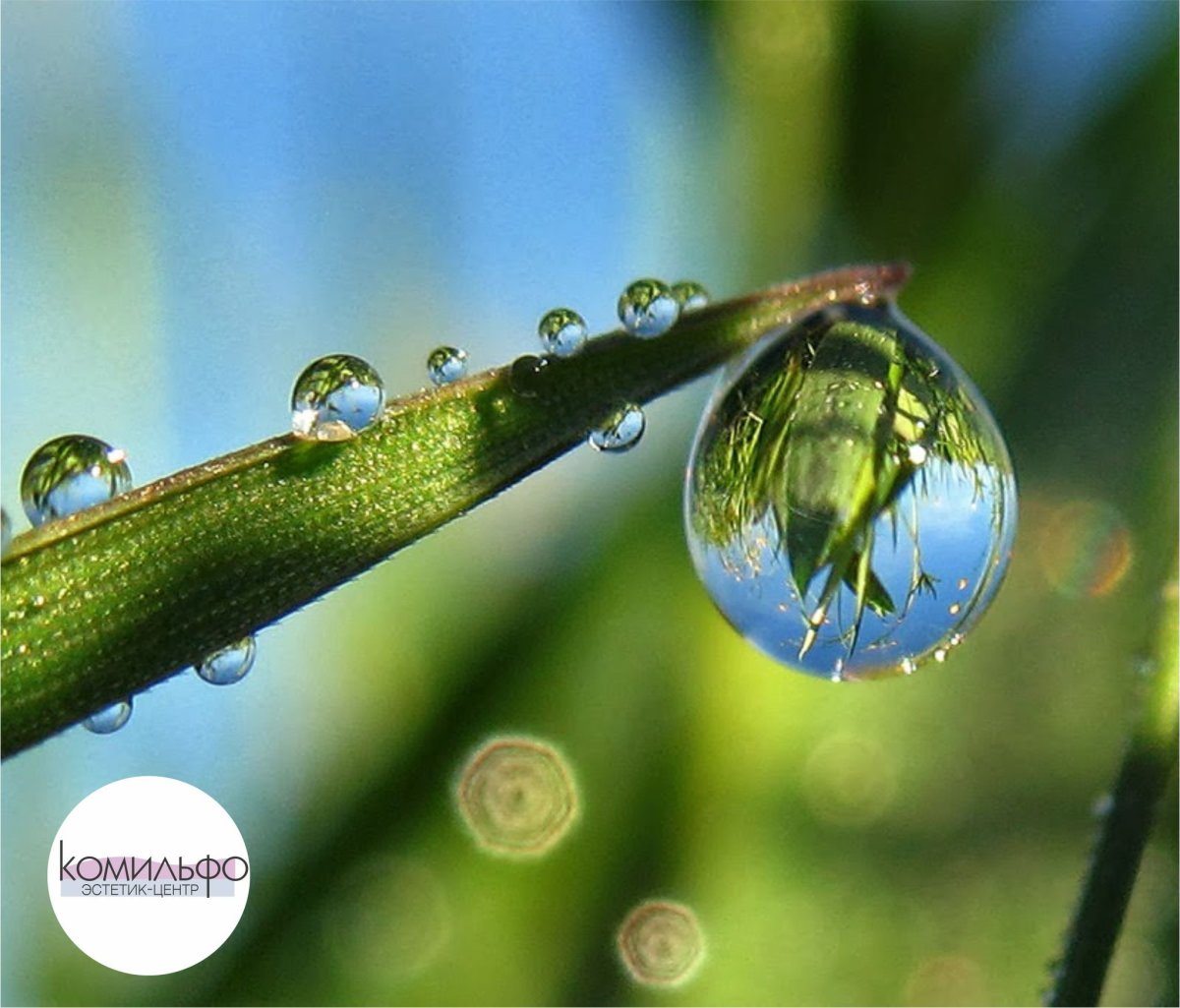 Росинка роса