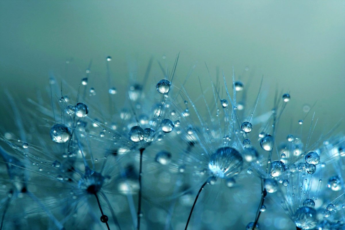 Весенние блики