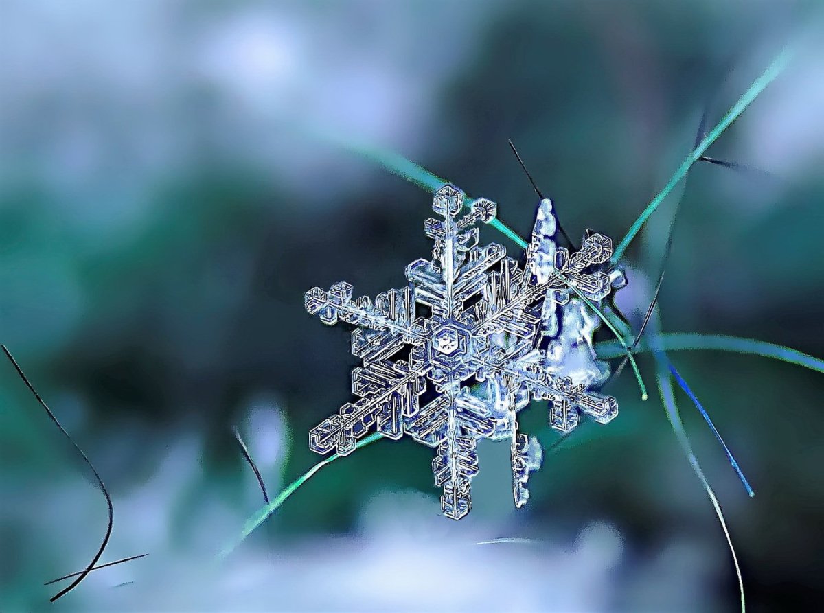 Фотограф Алексей Клятов снежинки