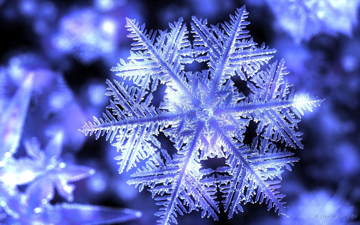 Снежинка Макросъемка