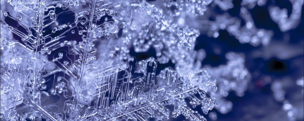 Снежинки в макросъемке