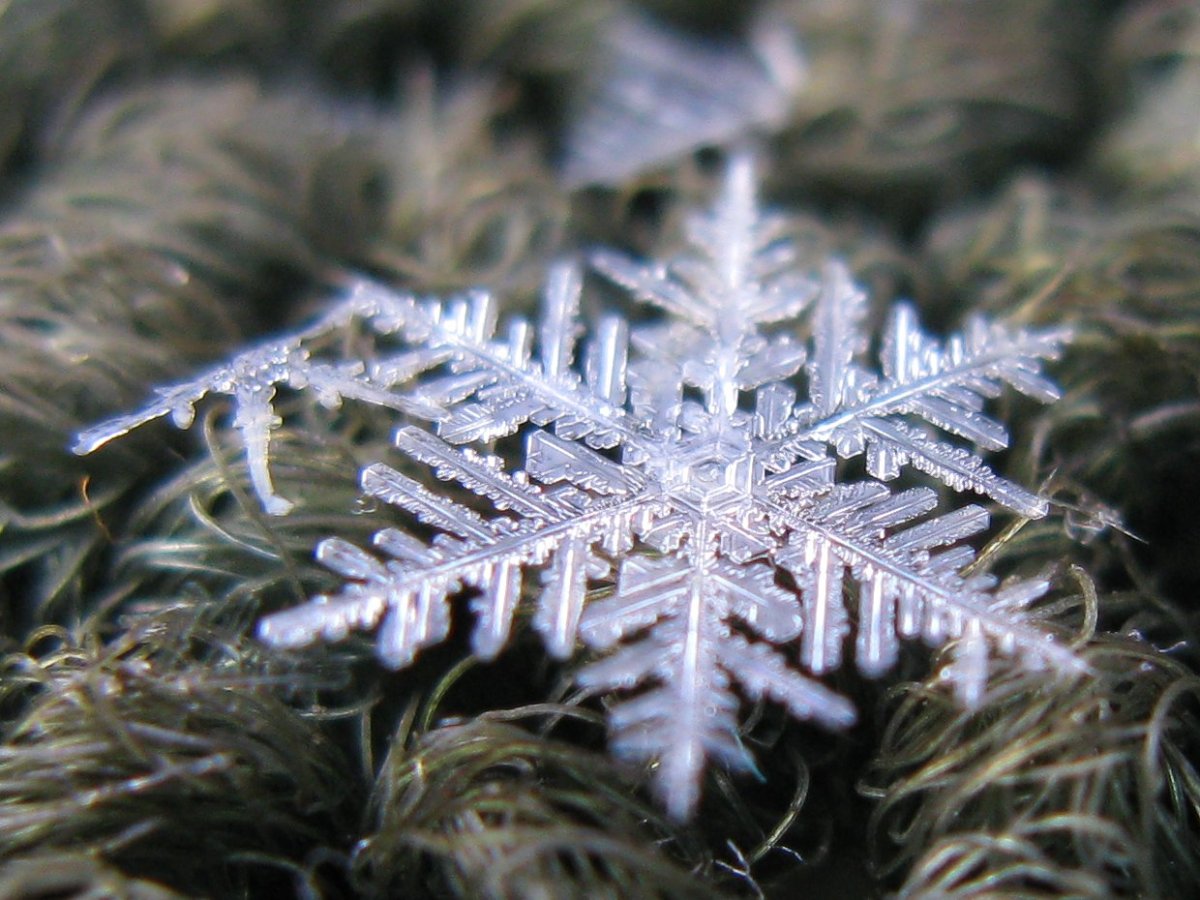 Макрофотографии снежинок Алексея Клятова