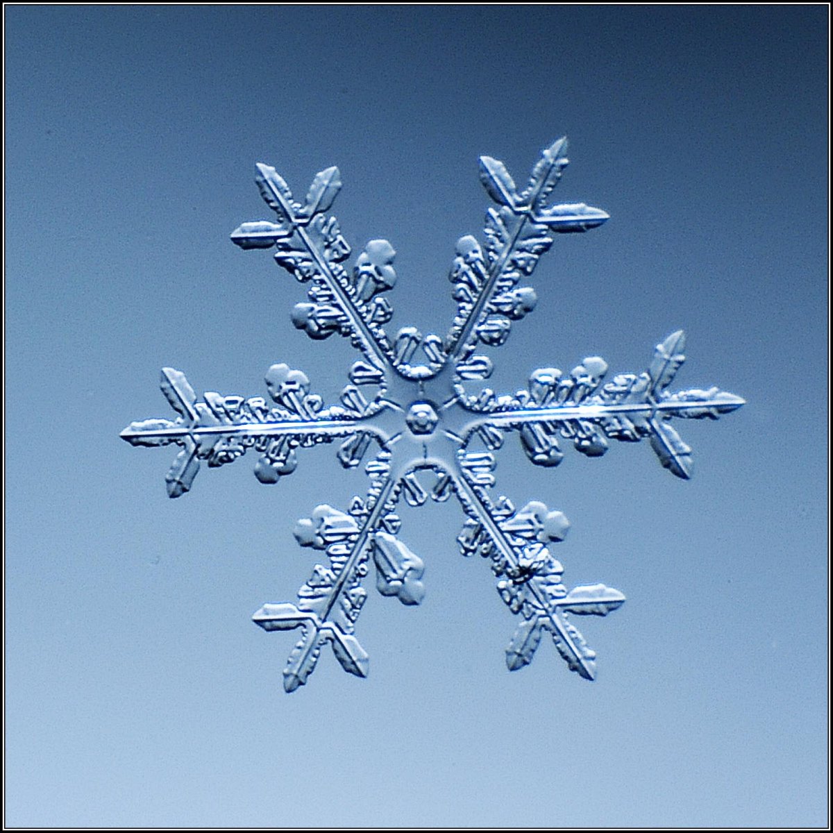 Снежинки в природе