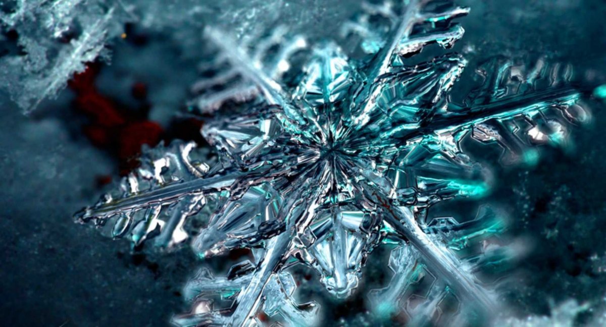 Макрофотографии снежинок