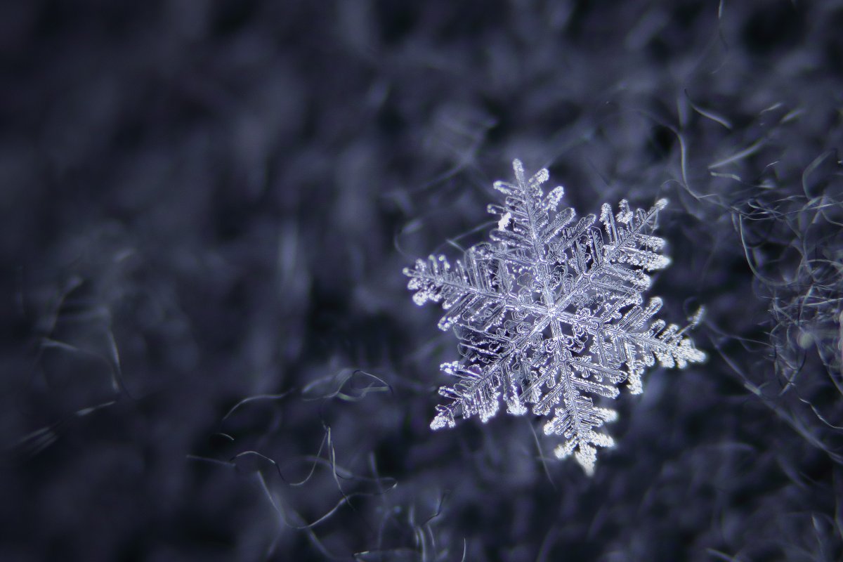 Красивые снежинки в природе