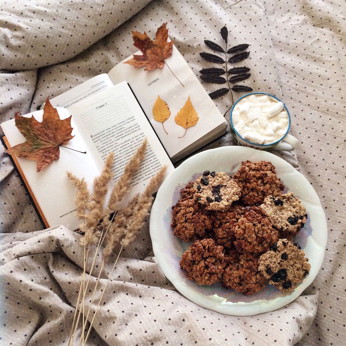 Шоколадные конфеты Эстетика