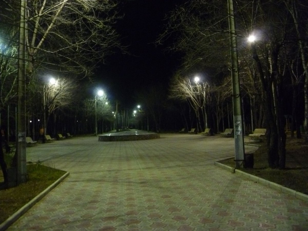 Ангарск музей Победы голуби