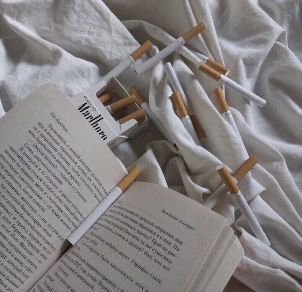 Пикник Эстетика на природе