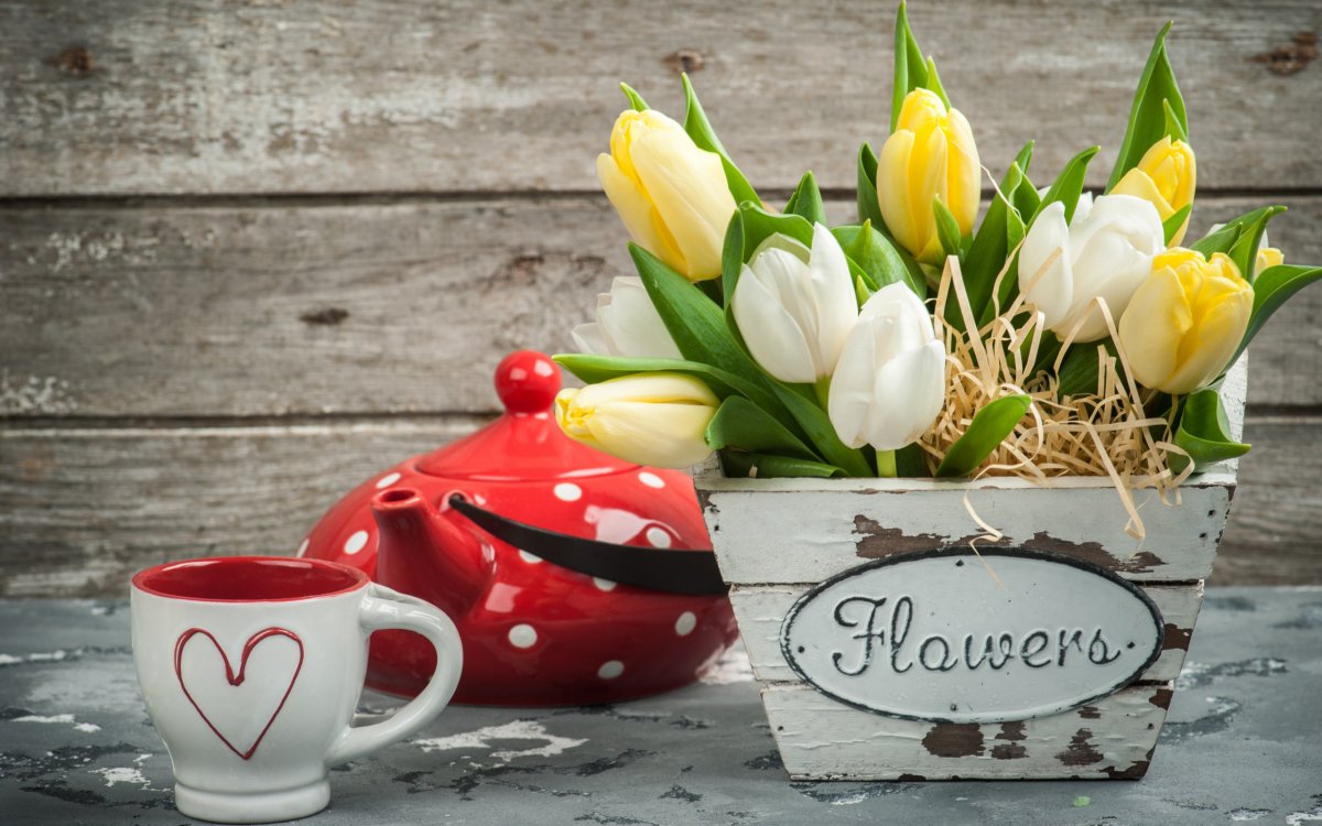 Тюльпаны в чашке