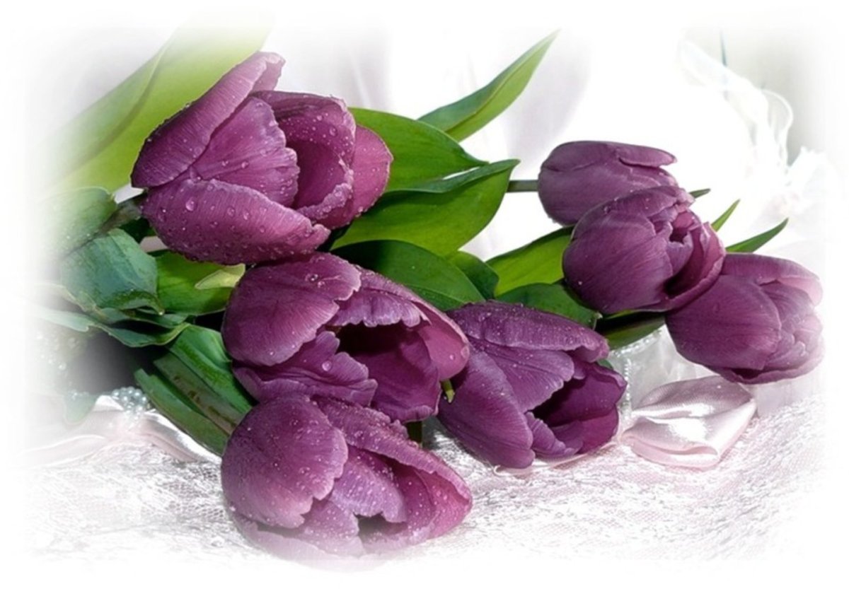 Весенние цветы с пожеланиями