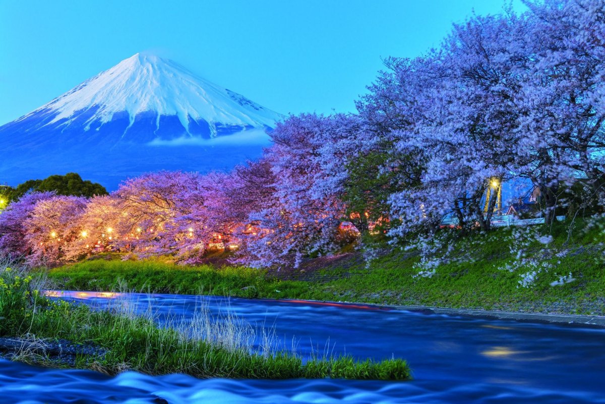 Япония Сакура и Фудзияма