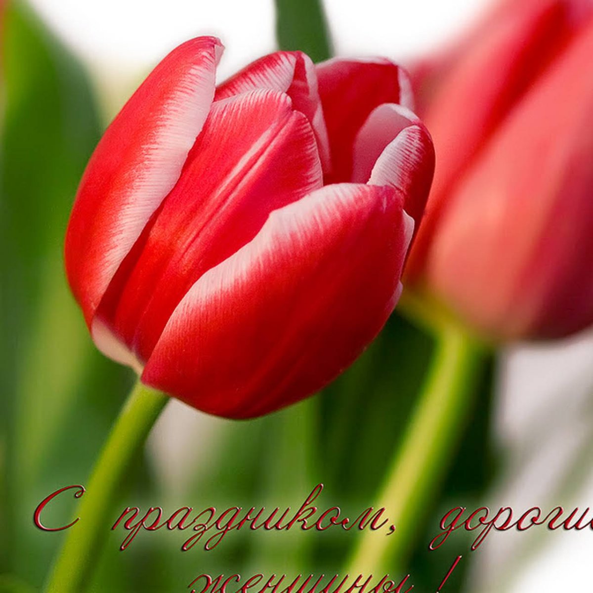 С наступающим девочки