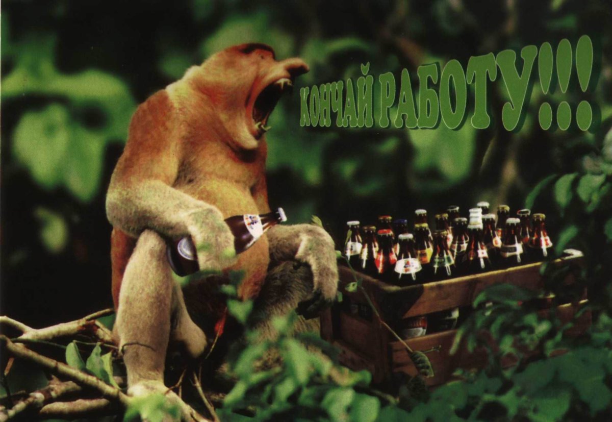 Пятница пора отдыхать