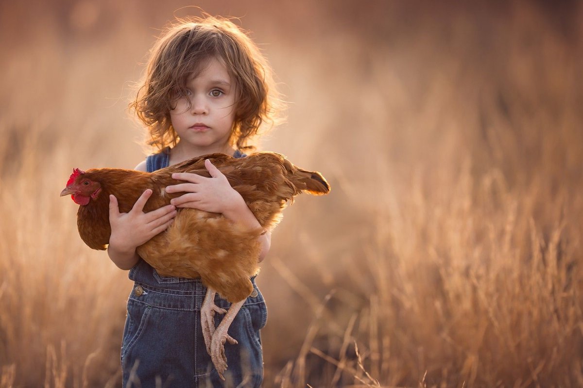 Семья рисунок