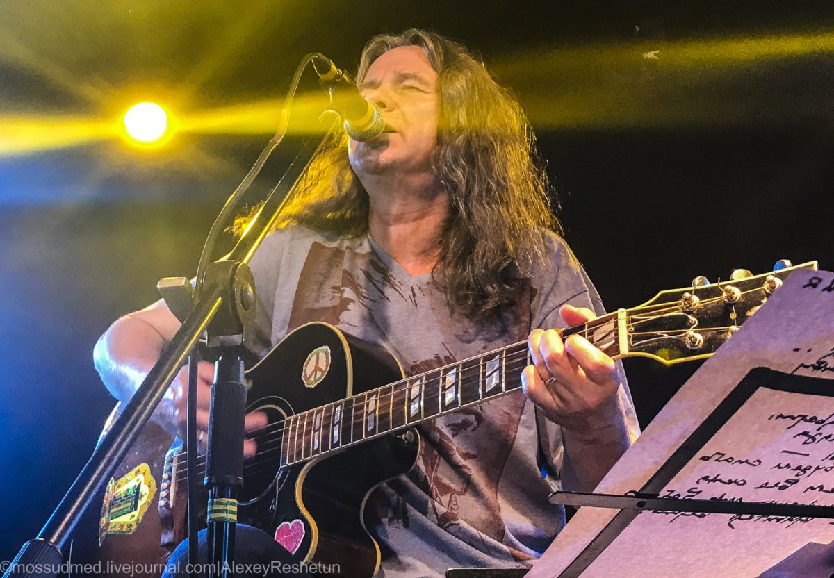 Зимующие птицы Чиж