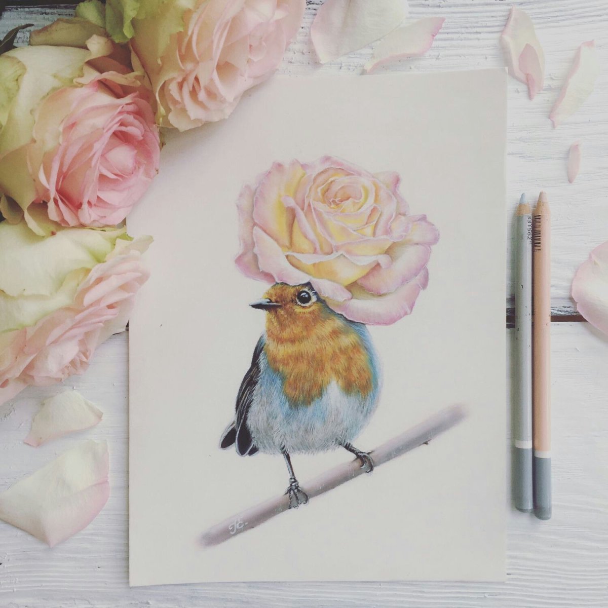 Картинки зимующих птиц для детского сада