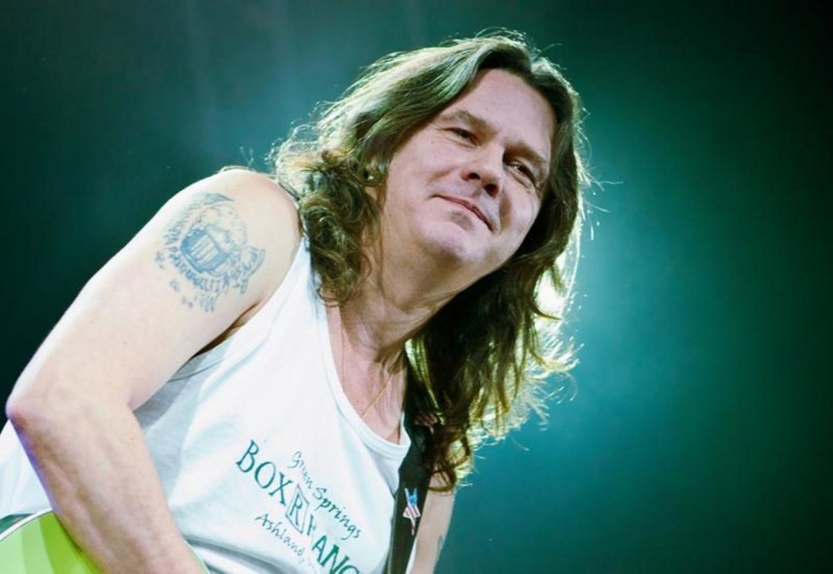 Чиж или зеленушка