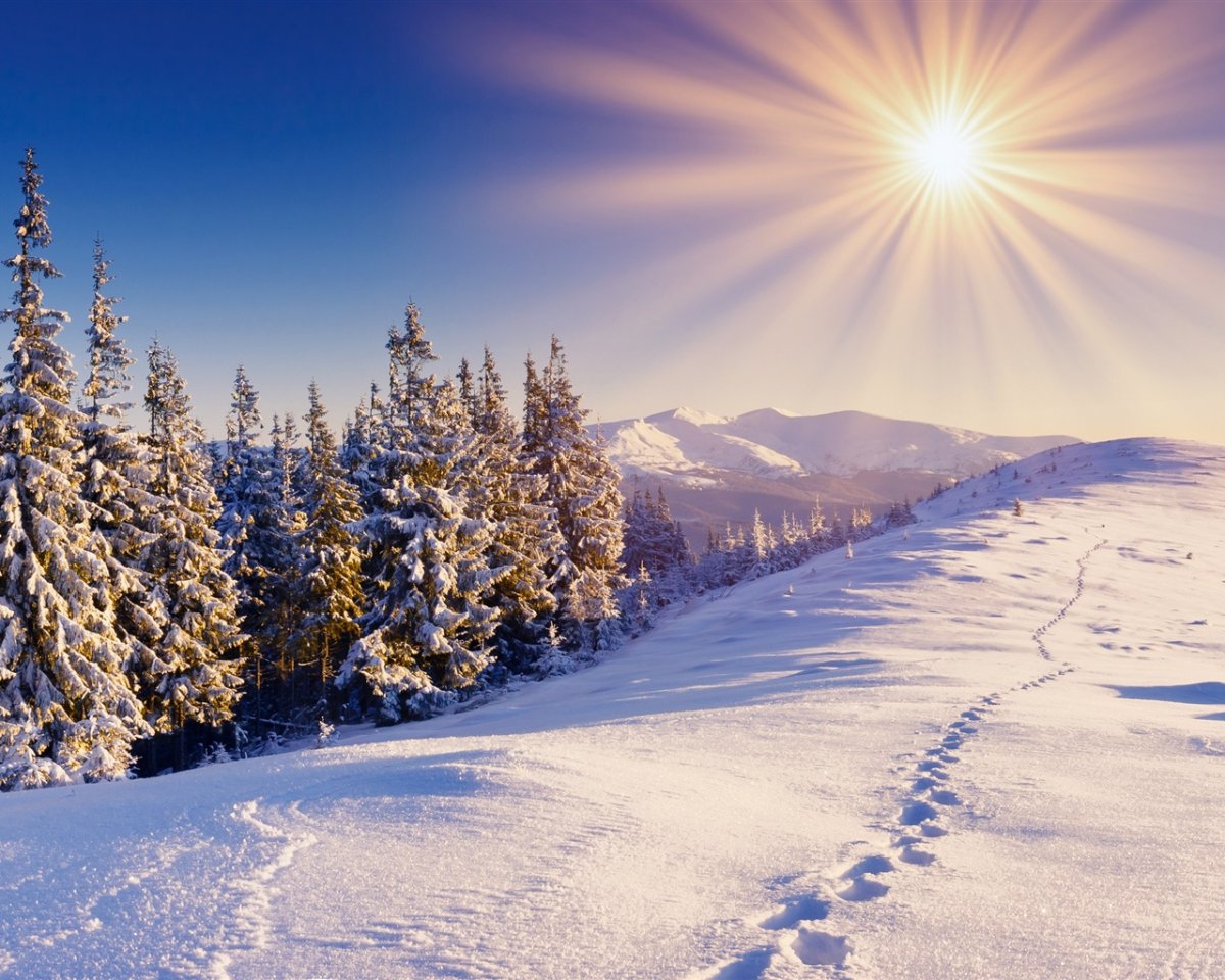 Солнечный зимний день