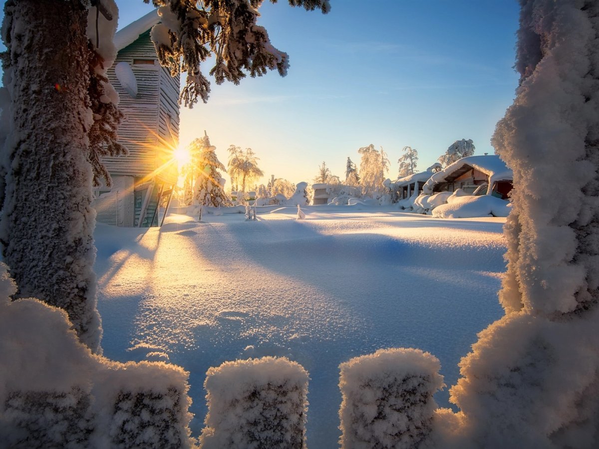 Солнечный зимний день