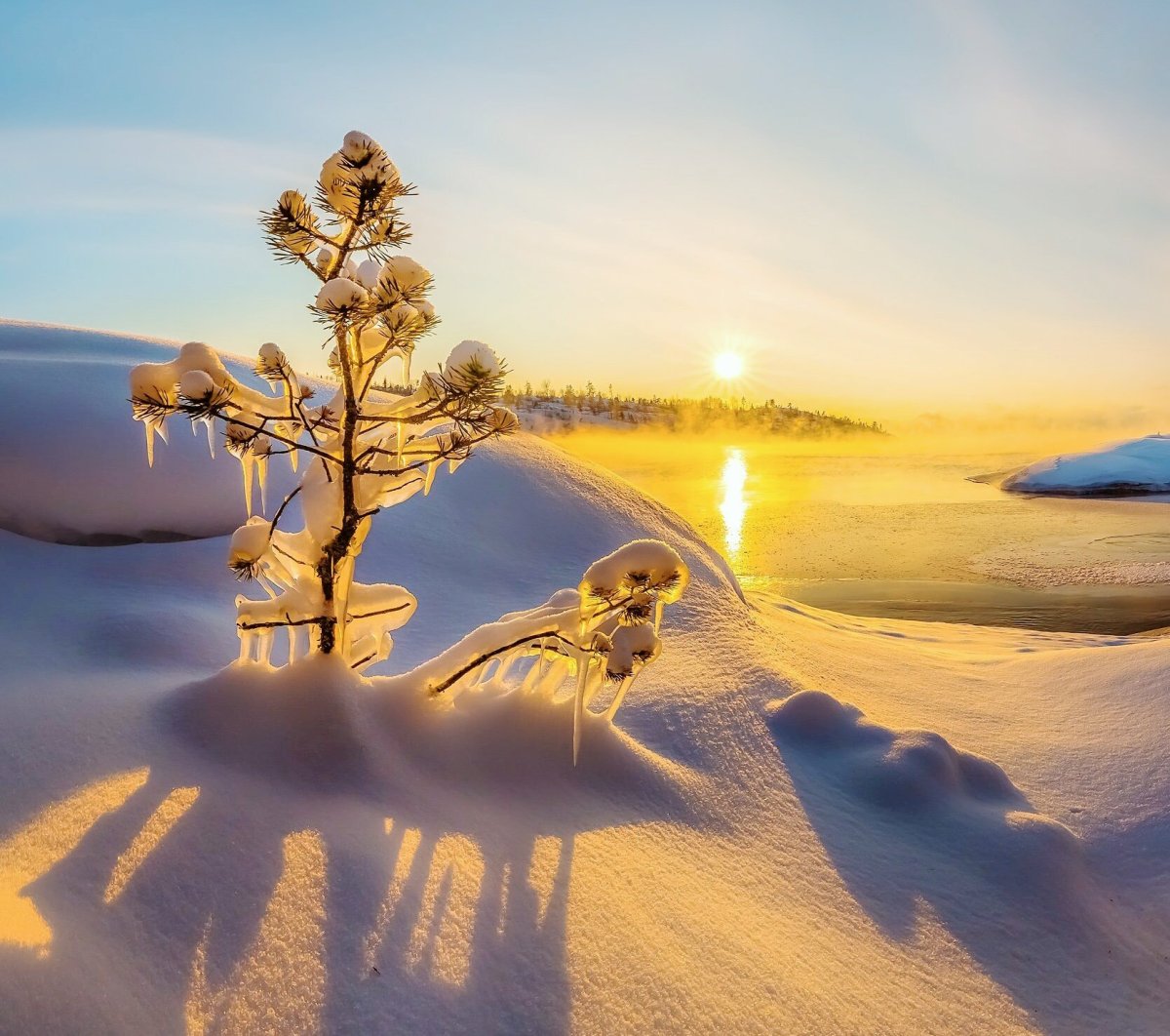 Зимнее утро