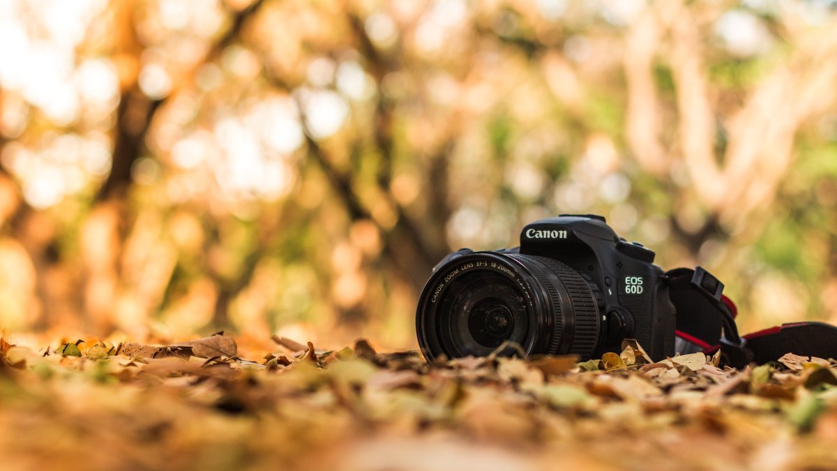 Фотоаппарат на природе