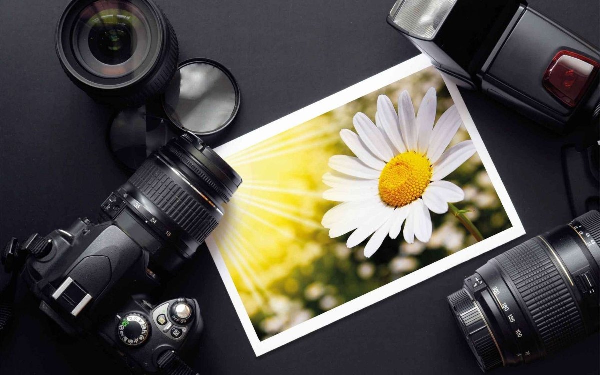 Фотоаппарат и видеокамера