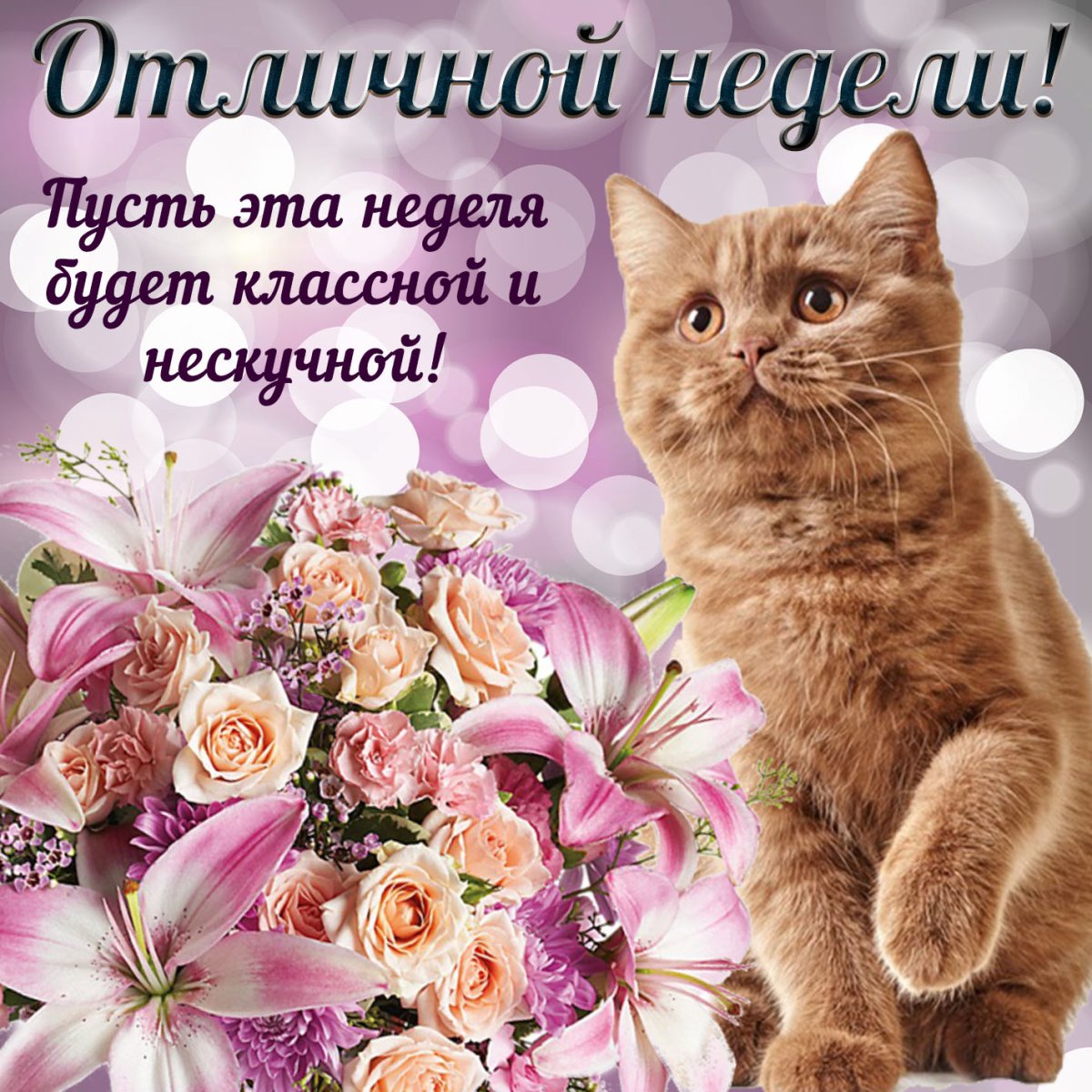 Позитивные открытки на каждый день