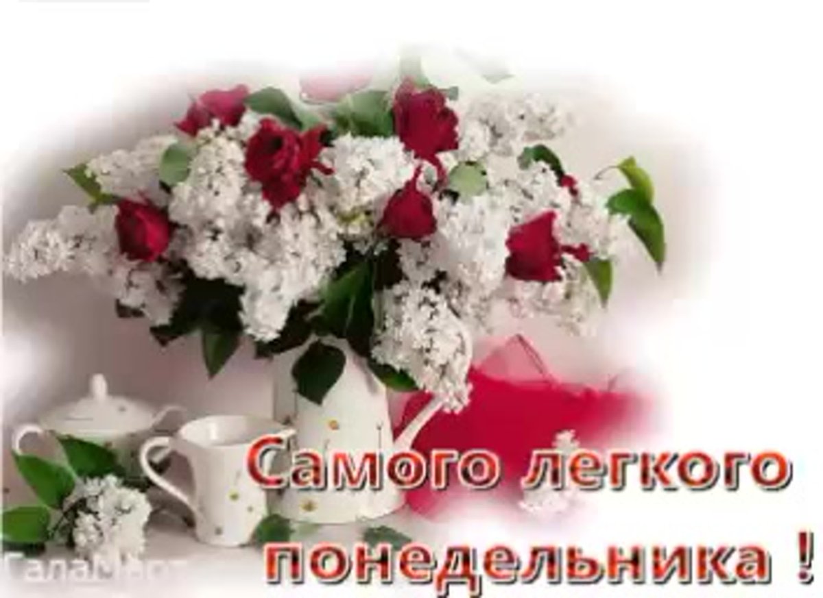 Доброго понедельника