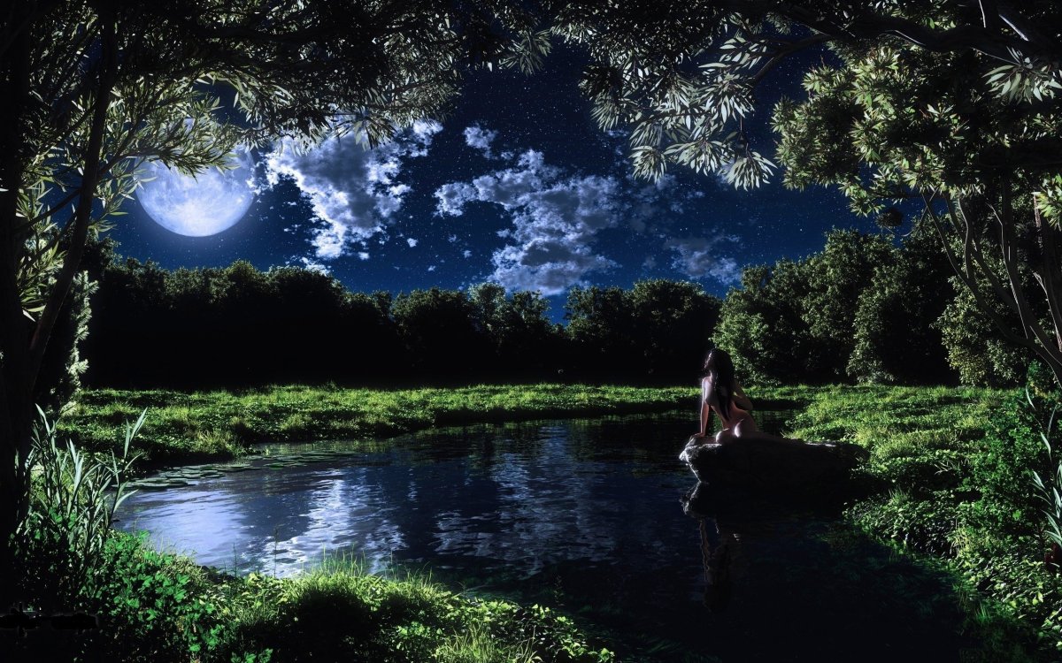 Лунная ночь картина