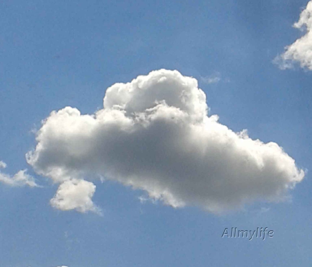 Фотоконкурс облака белогривые лошадки