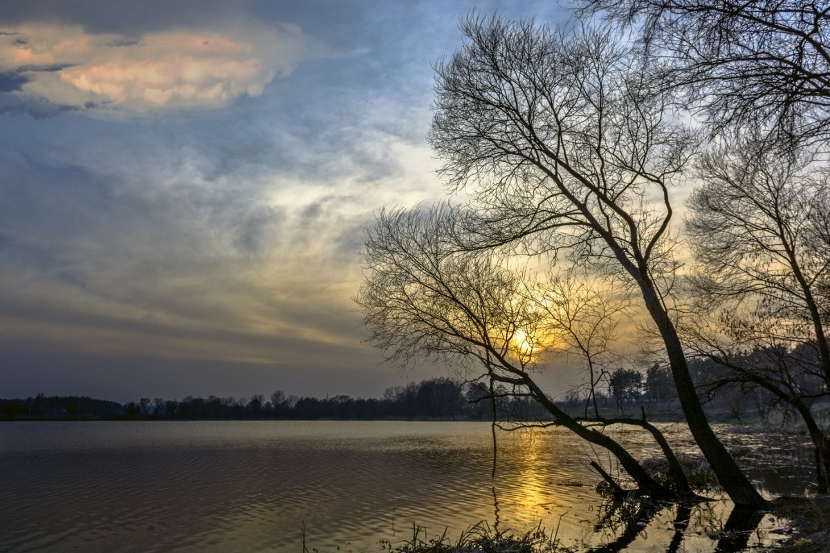 Ранняя Весна вечер