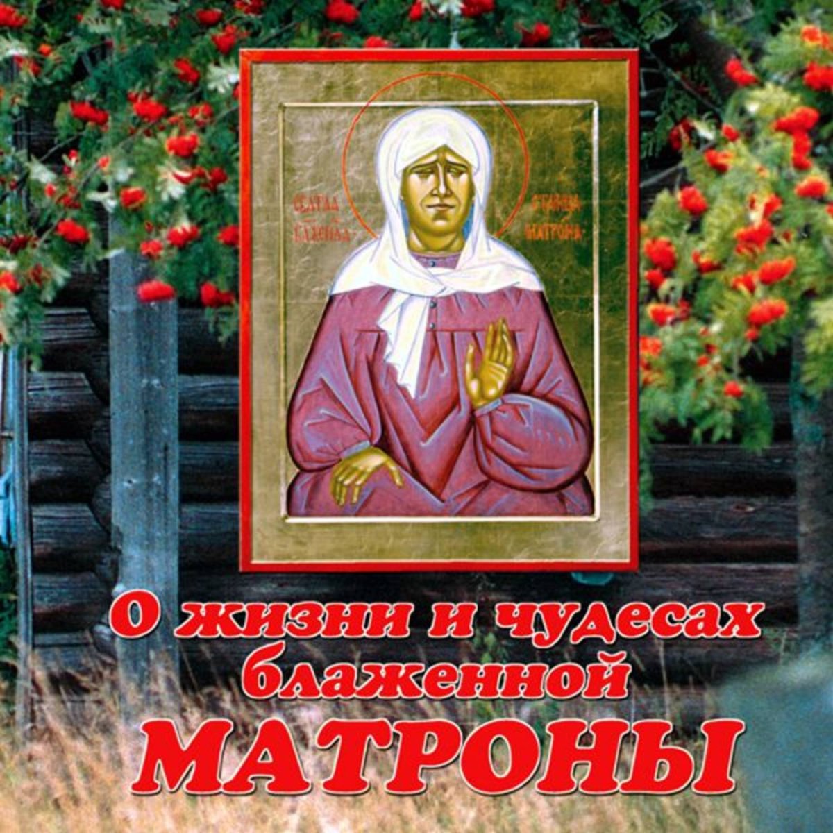 Матрона Димитриевна Никонова село