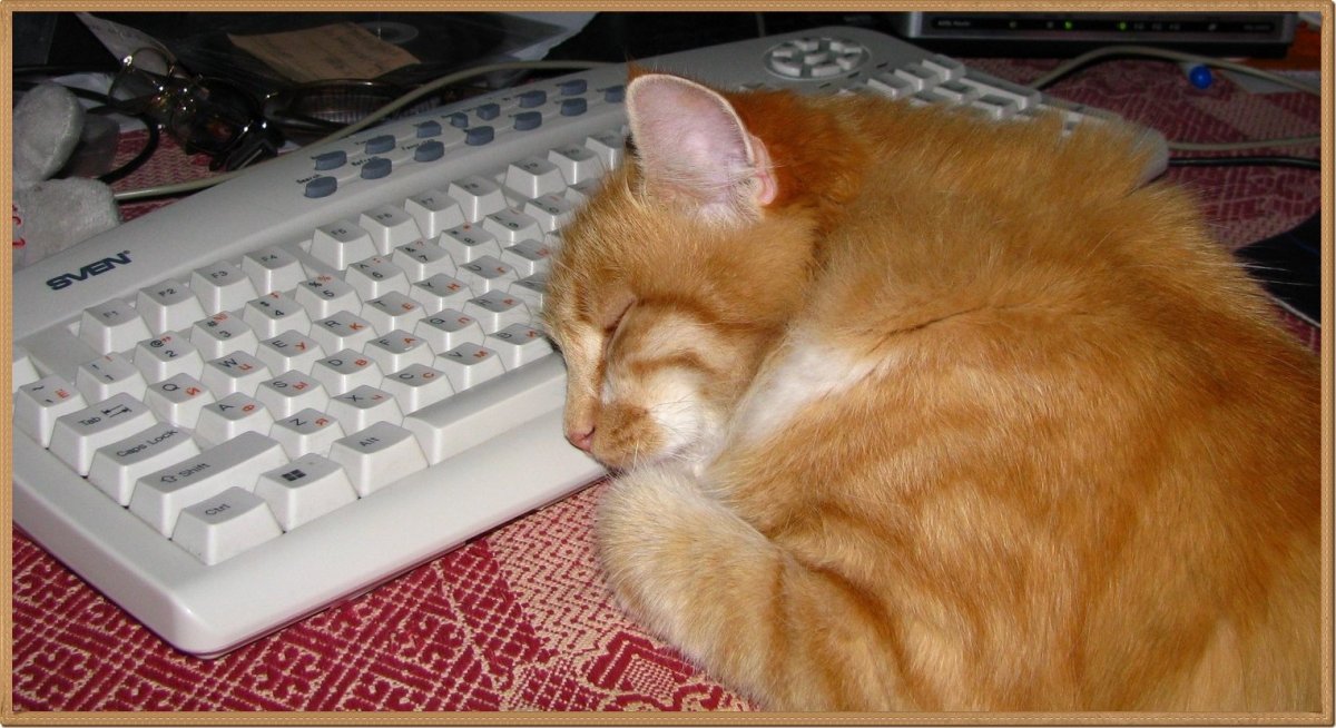 Спокойной ночи Инстаграм