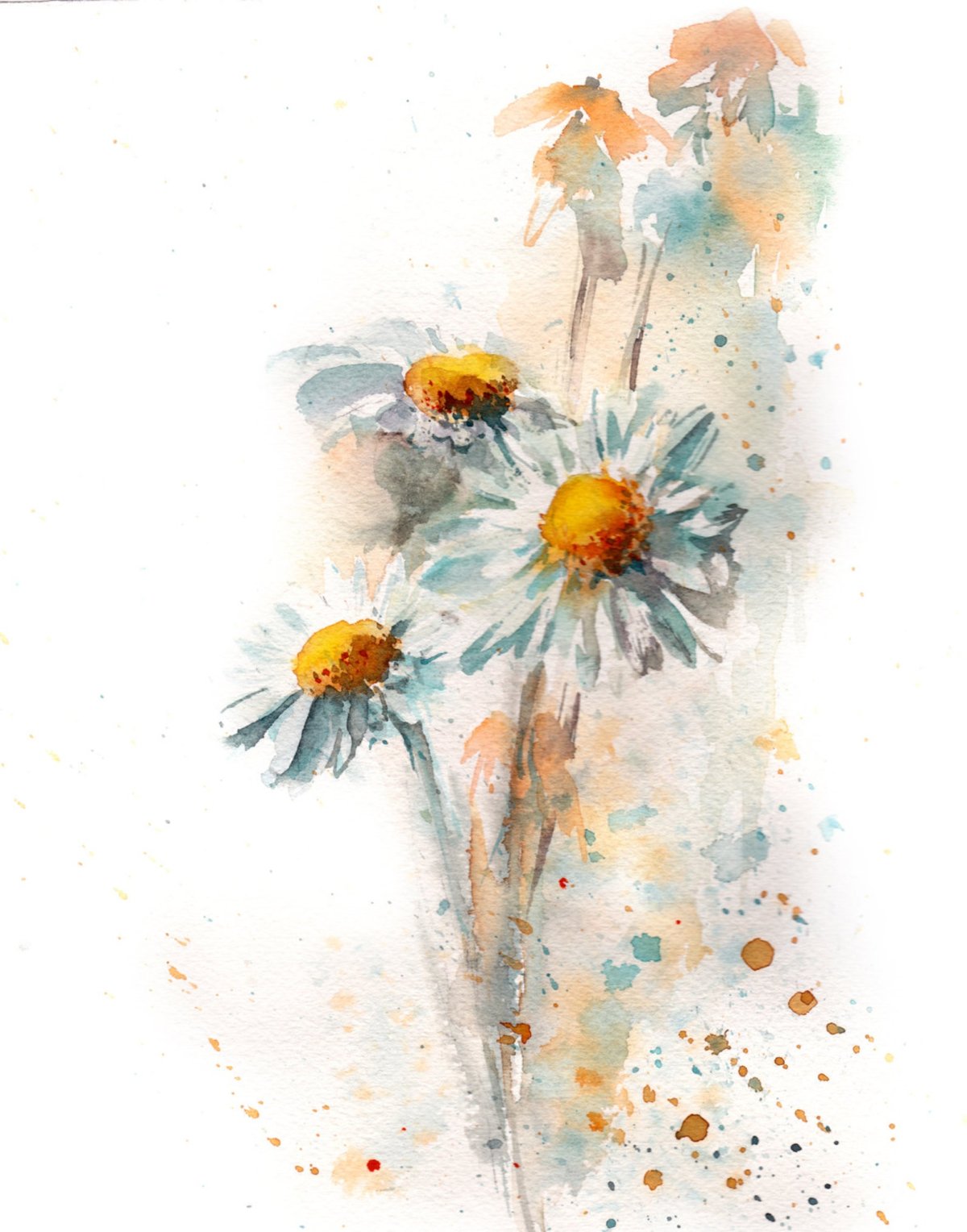 Акварель ромашки